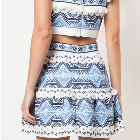 ISO Alexis Lucille Skirt and Top small or xsmall - Picture 2 of 3